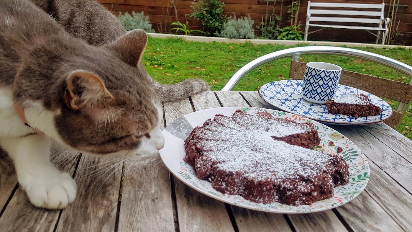 Gateau Au Chocolat Sans Gluten A 50 Calories La Part Ca A Leyre Bon